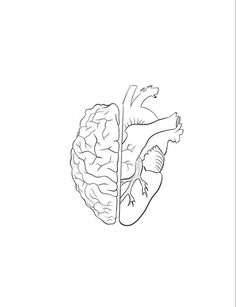 Heart And Brain Line Art, Half Heart Half Brain Drawing, Brain And Heart Drawing, Brain Minimalist, Cerebro Dibujo, Heart And Brain Tattoo