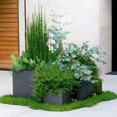 three planters with different types of plants in them sitting on the side of a building