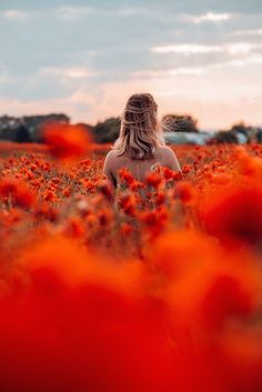 a woman in a field of red flowers with her back to the camera, looking into the distance