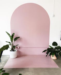 two potted plants sit on the floor in front of a pink arch shaped wall