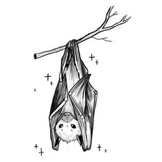 a bat hanging upside down on a tree branch with cross marks in it's back