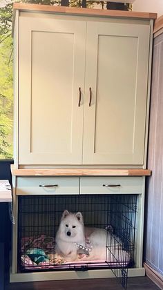 a white dog sitting in its kennel on the floor next to an armoire