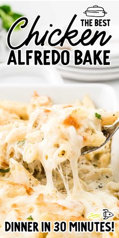 the best chicken alfredo bake dinner in 30 minutes