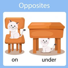 an image of opposites and opposites with cat sitting on the chair next to it