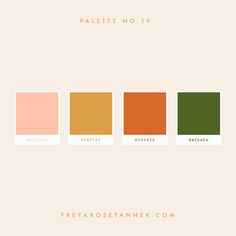 the color scheme for palette no 19 is shown in three different colors, including orange and green