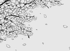 black and white photograph of tree branches with flowers in the rain on a cloudy day