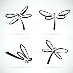 four dragonflys on white background, set of three black and white images with different wings