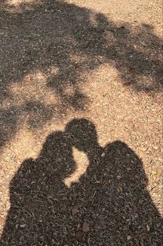 the shadow of a person holding a cell phone in their hand and standing next to a tree