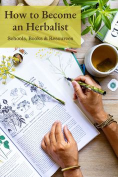 a person is writing on an open book with flowers and plants around it, next to a cup of tea