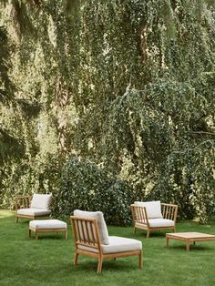 four wooden chairs sitting in the grass under a tree with white pillows on them and one chair