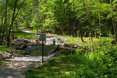 there is a small bridge in the middle of the woods that leads to a stream