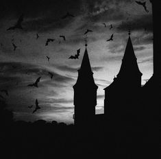 black and white photograph of bats flying in the night sky over gothic church spires