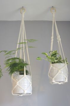 two hanging planters with plants in them