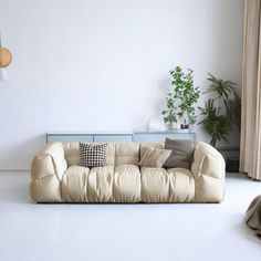 a living room filled with furniture and a potted plant on the wall next to it