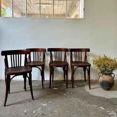 four wooden chairs sitting next to each other near a potted plant on the ground