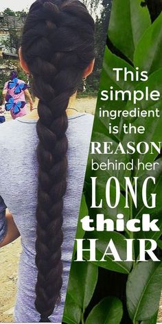 Thick Hair Remedies, Hair Care Growth, Extreme Hair, Luscious Hair, Thicker Hair, Hair Tonic