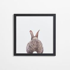 a framed photograph of a rabbit's head in front of a white wall with black frame