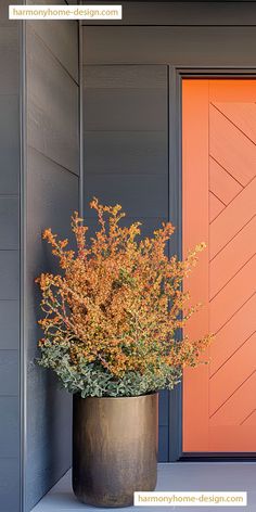 a potted plant sitting in front of a red door