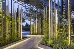 an outdoor garden with plants and lights on the sides, surrounded by wooden walkways