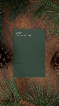 Green Throughout House, Green Walls Hardwood Floor, 2023 Dark Green Paint Color, Large Living Room Paint Ideas, Dard Hunter Green Sw, Hunter Green Home Decor, Paint Colors That Go With Wood Paneling, Hunter Green Kitchen Walls, Hunter Green Accent Wall Office