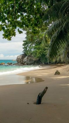 the beach is clean and ready for us to enjoy it's own shore line