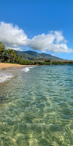 the ocean is clear and blue with waves coming in from the shore, while palm trees line the shoreline