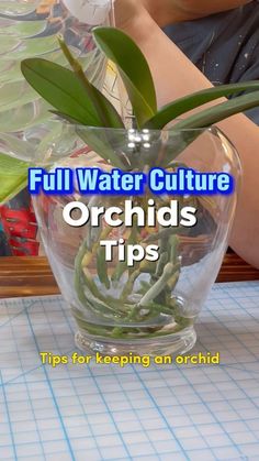 a glass vase filled with water and plants on top of a table next to a person