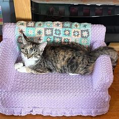 a cat laying on top of a purple chair