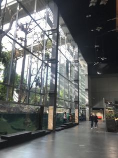 people are walking through an indoor area with large glass walls and plants on the wall