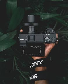 a person holding up a camera in front of green plants and leaves with the words sony on it