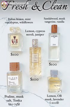 Clean Scent Perfume, Smell Clean And Fresh, Mode Coachella, Unique Perfume, Books Design, Fresh Perfume, Scent Perfume