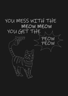 a black and white drawing of a cat with the words you mess with the meow meow you get the peow peow