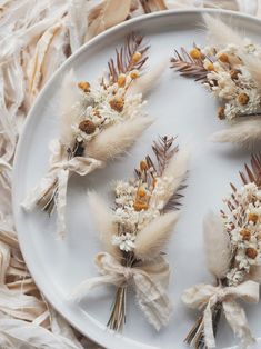 several dried flowers are arranged on a plate