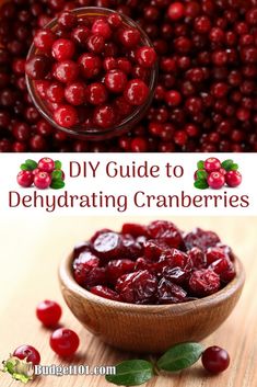 cranberries in a wooden bowl with the words diy guide to dehydrating cranberries