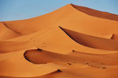 the sand dunes are very large and have little footprints on them as if they were in the desert