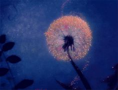 a dandelion is blowing in the wind against a blue sky with white dots