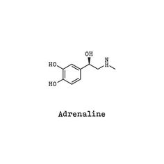 Adrenaline Tattoo, Tats Inspiration, Chemical Tattoo, Tato Jam, Adrenaline Molecule, Chemical Symbols, Love Hormone, Chemistry Tattoo, Molecule Art