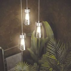 three lights hanging from a ceiling next to a potted plant and palm tree in a room