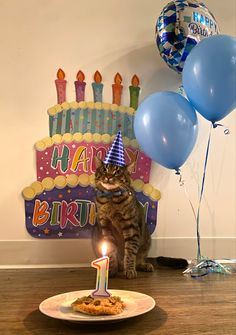 a cat sitting in front of a birthday cake with a lit candle on it and balloons