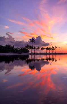 palm trees are reflected in the still water at sunset, with pink clouds and blue sky