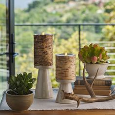 candles and succulents are sitting on a table next to some wood sticks