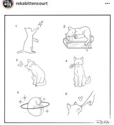 an animal worksheet for children to learn how to draw cats and kittens