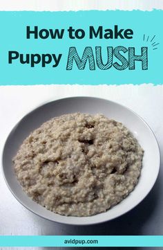 a white bowl filled with oatmeal and the words how to make puppy mush