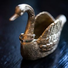 Catbird, Swan Ring Holder Catbird Nyc, Swan Ring, Swan Decor, Home Lounge, Brass Swan, House Updates, Ring Dishes, Party Events, Cute Little Things