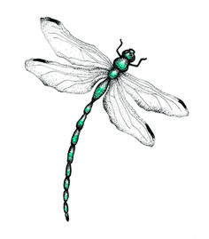 a drawing of a dragonfly with green eyes