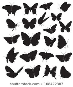 a collection of butterflies silhouettes on a white background, each with different shapes and sizes