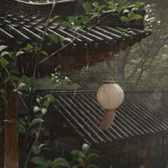 a white lantern hanging from the side of a building next to trees and bushes on a rainy day