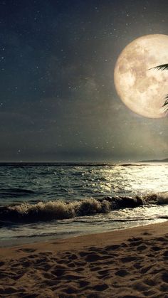 a full moon is seen over the ocean on a beach with waves and palm trees