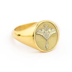 A beautiful moth design engraved in our best-seller signet rings! *real images of the ring, taken by us* Face Size: 13x11mm Material: - Sterling Silver (925) - 9K Gold (375) - 14K Gold (585) - 18K Gold (750) *All signet rings are hallmarked on the back for certification* - We offer FREE Worldwide DHL & FedEx Shipping! - Branded DanelianJewelry Gift Box with each order! Our customer service is available 7 days a week. Leave us your message, and we will get back to you within a little time. ✔️ Tra Solid Gold Signet Ring, Female Signet Ring, Men Signet Ring Gold, Signet Rings Women Vintage, Moth Ring, Gold Cat Ring, Moth Design, Signet Rings Women, Sterling Silver Cleaner