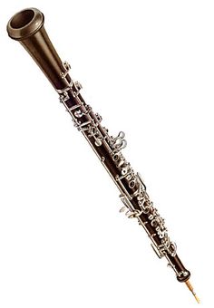 a close up of a flute on a white background